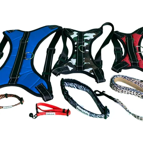 10 x Assorted Parlour Dog Harness And Collars