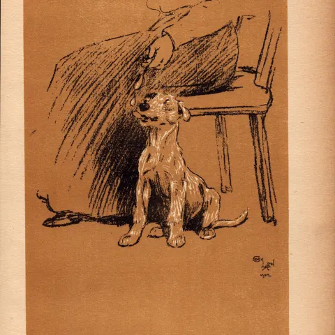 Cecil Aldin Antique Lovable Scamp Of a Terrier illustration A Dog Day -21.