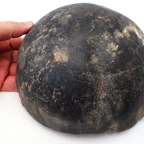 Fossil Extinct Elephant Bone From Greece
