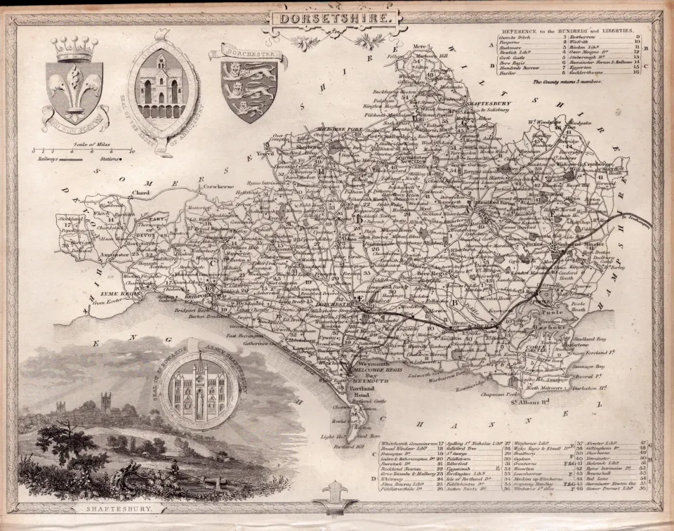 Dorsetshire Steel Engraved Victorian Thomas Moule Antique Map.