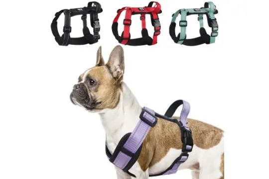6 x Small Dog Harness