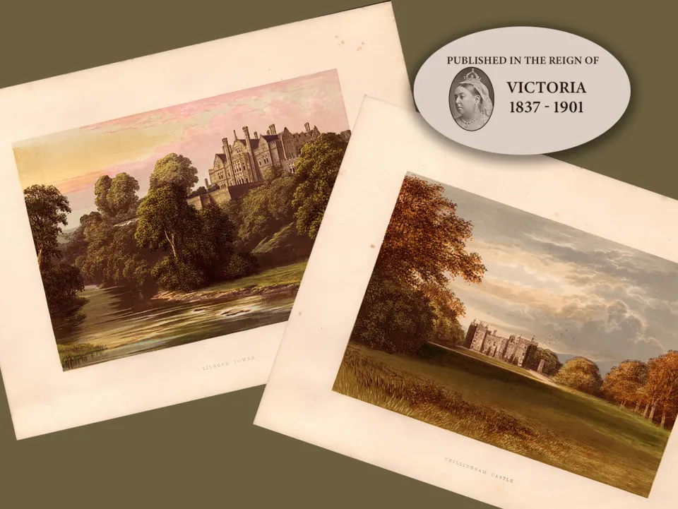 Northumberland 2 Stunning Gilt-Edge Coloured Victorian Antique Book Plates.