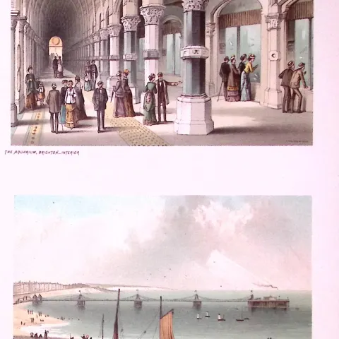 Brighton The Aquarium & Chain Pier Victorian Coloured Antique Print-30