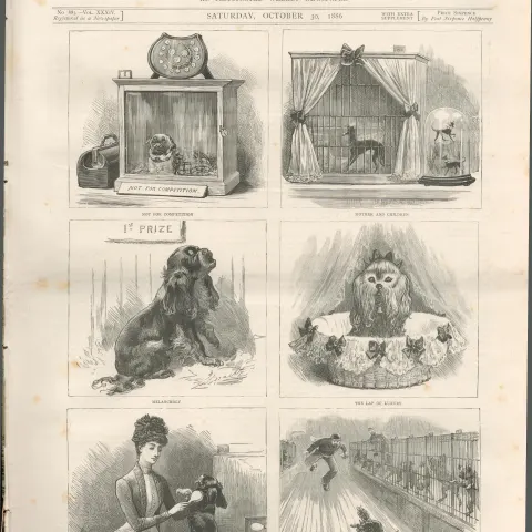 Victorian London Toy Dog Show