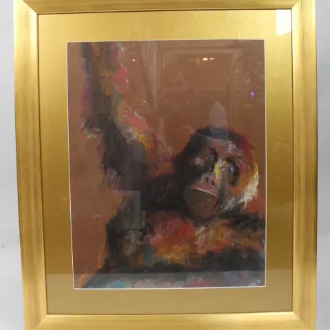 Original Artwork Pastel Gorilla by Kate Rees