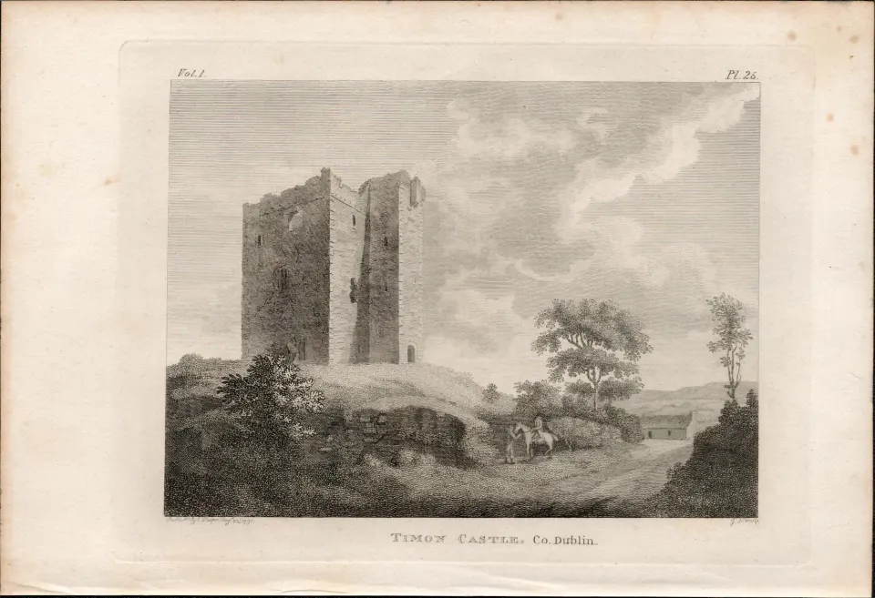 Timon Castle Co Dublin  Rare 1791 Francis Grose Antique Print.