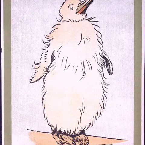 Cecil Aldin Antique Zoo Babies Scarce Illustration “Baby King Penguin”-22