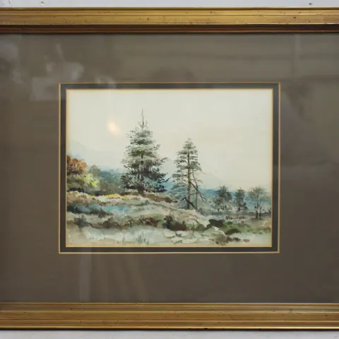 Forest Watercolour Mounted & Framed