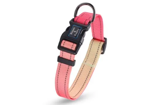 15 x Reflective Dog Collar With Gradient Azure L13b