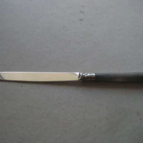 Antique George IV Mother of Pearl Hafted Paper Knife