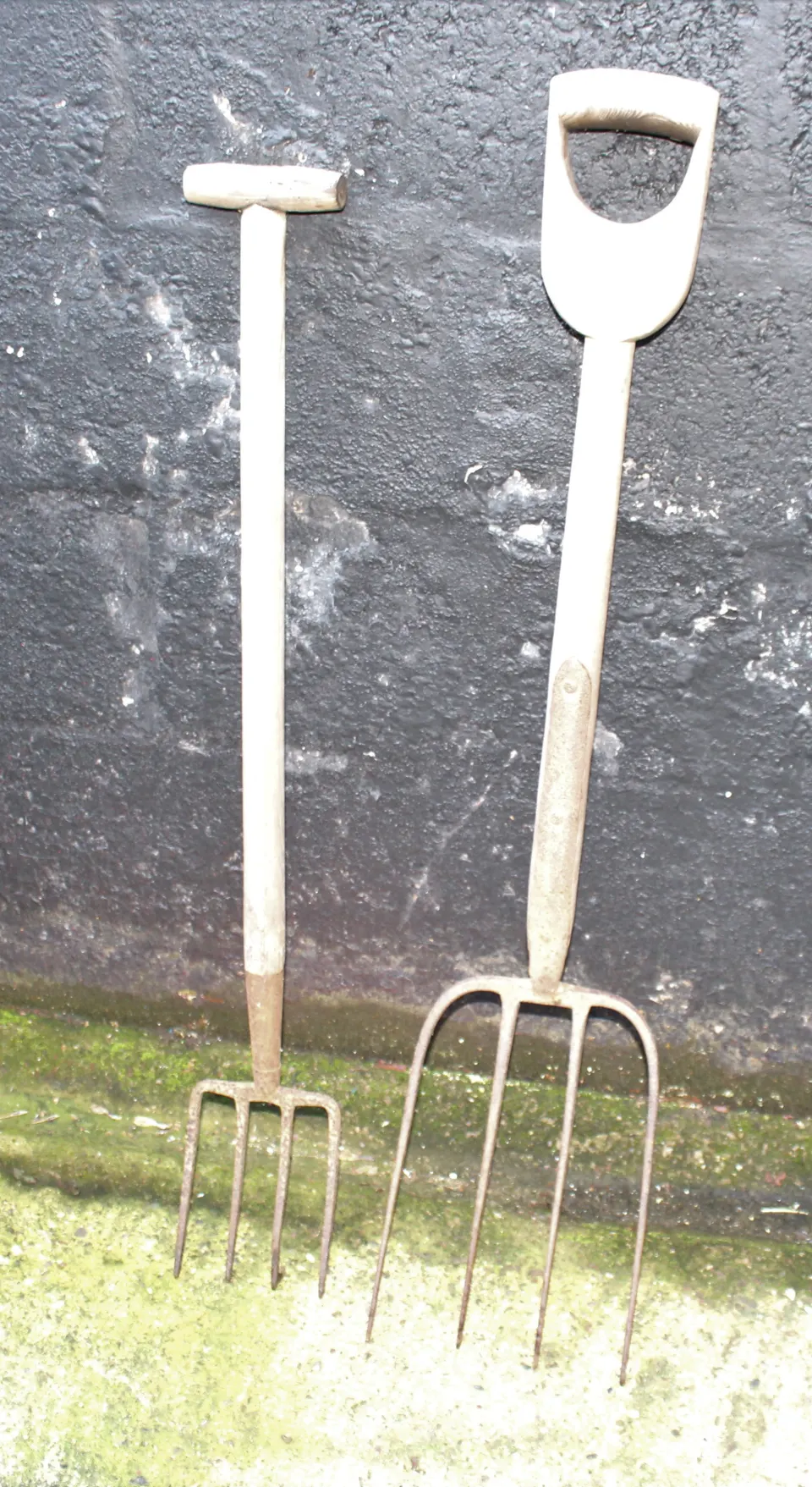 Pair of Old Garden Forks