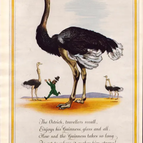 Original 72-Year-Old 1952 Guinness Print The Ostrich – GE 1832 B   #-3.