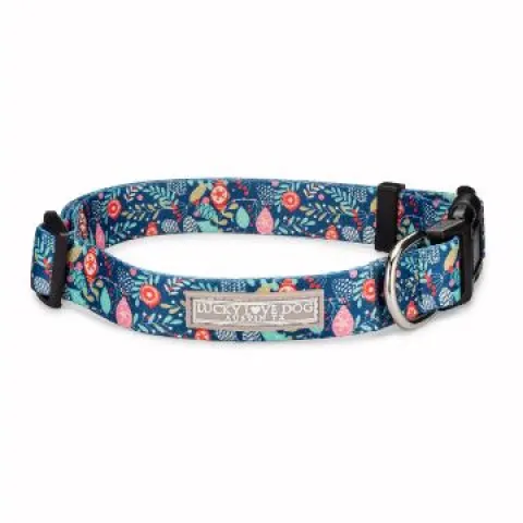 20 x Dog Collars Total RRP £463.00 L13b