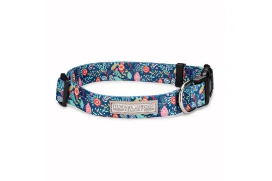 20 x Dog Collars Total RRP £463.00 L13b