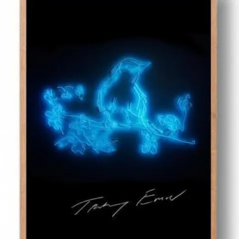 Dame Tracey Emin RA Signed Limited Edition (500) My Favourite Bird Robin