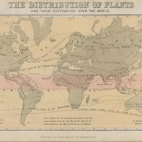 Rare James Reynolds Antique Distribution of World Plants.