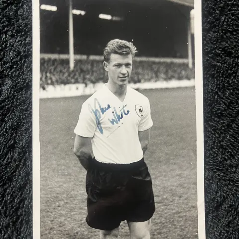 John White Signed