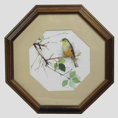 Bird Print Set in Octagonal Frame