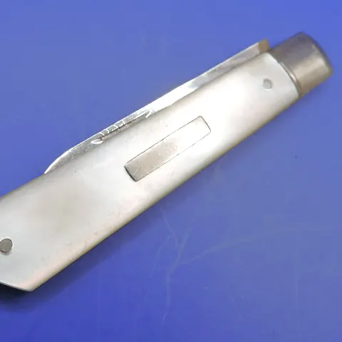 Victorian Silver and Mother of Pearl Fruit Knife 1901