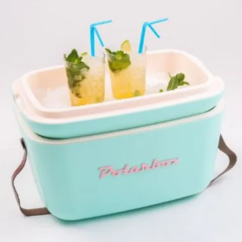 Retro Pop Baby Blue Polarbox 20L Picnic / Camping / Garden Drink Store Insulated Cool Box RRP £60