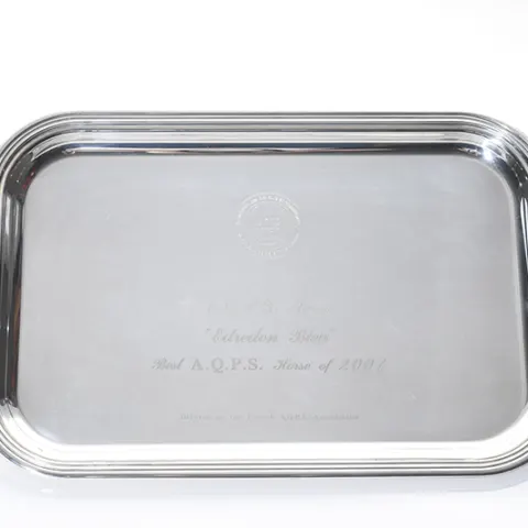 Top AQPS Horse 2001, from the Lester Piggott collection.
