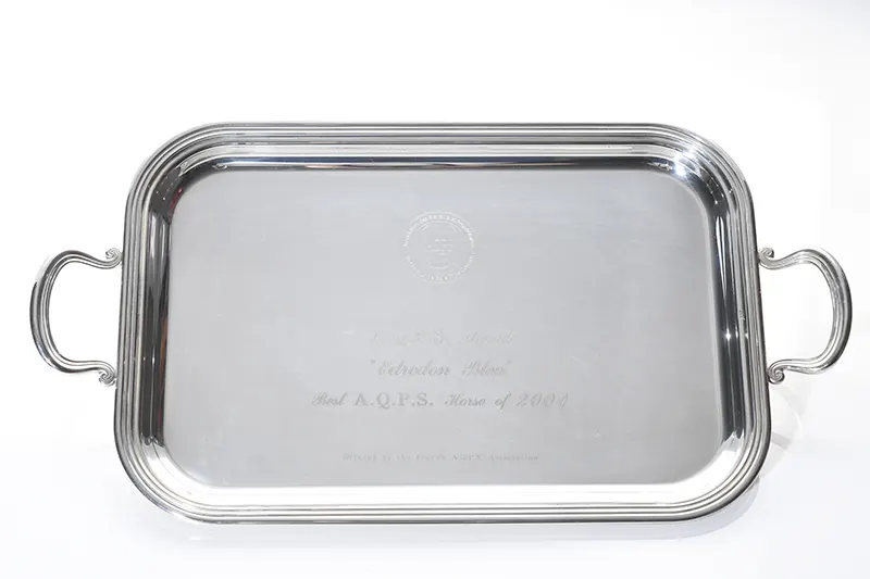 Top AQPS Horse 2001, from the Lester Piggott collection.