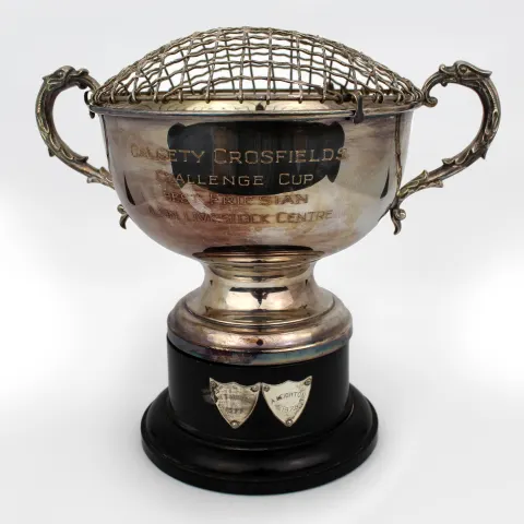 Vintage Silver Plated Rose Bowl Trophy