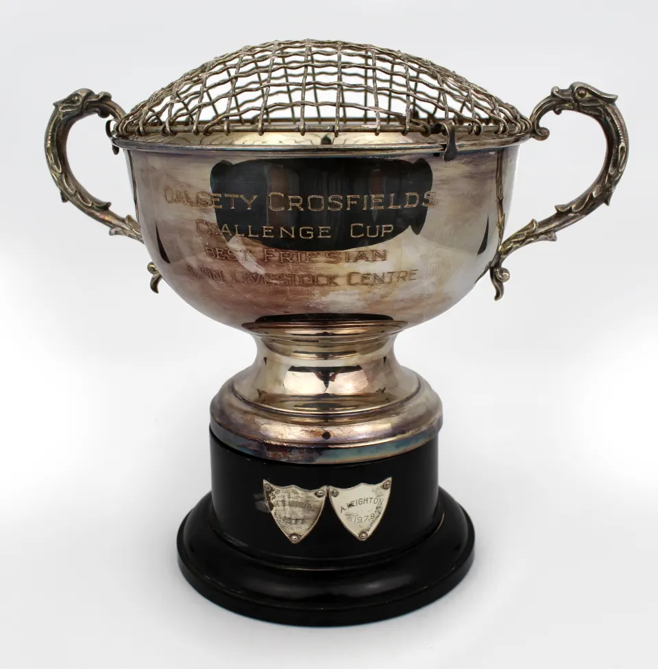 Vintage Silver Plated Rose Bowl Trophy