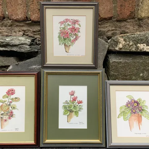FOUR PAINTINGS STILL LIFE OF FLOWERS WATERCOLOUR  ON BOARD   ENGLISH  SIGNED 20th c