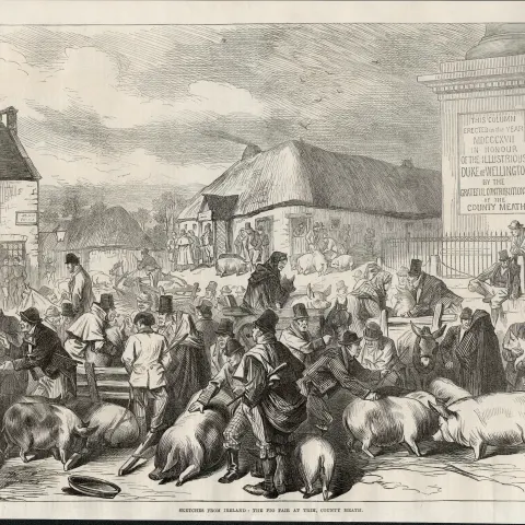 The Pig Fair At Trim Co Meath Ireland 1870 Antique Print.