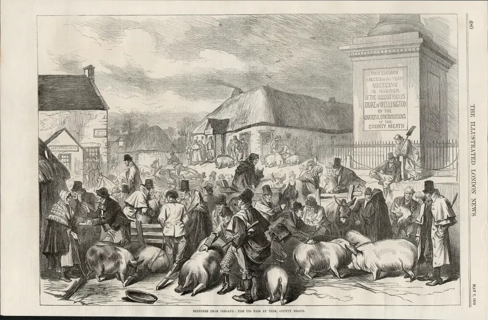 The Pig Fair At Trim Co Meath Ireland 1870 Antique Print.