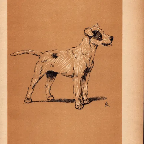 Cecil Aldin Antique Lovable Scamp Of a Terrier illustration A Dog Day -23.