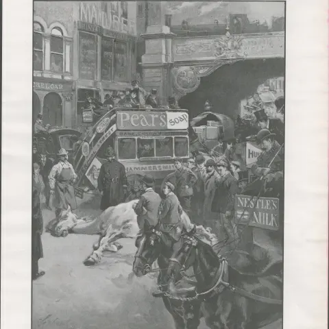 The Need For Horse Ambulances on London Streets 1901.