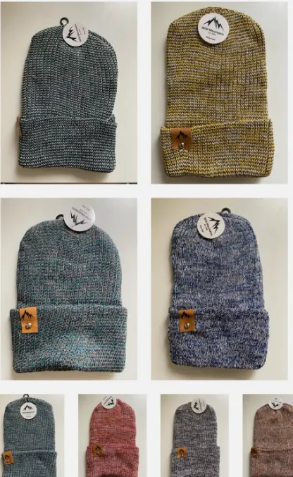 Wild Mountain Men's Beanie Ld