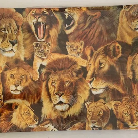 5 x Pack Of 12 Lion A4 Wallets.