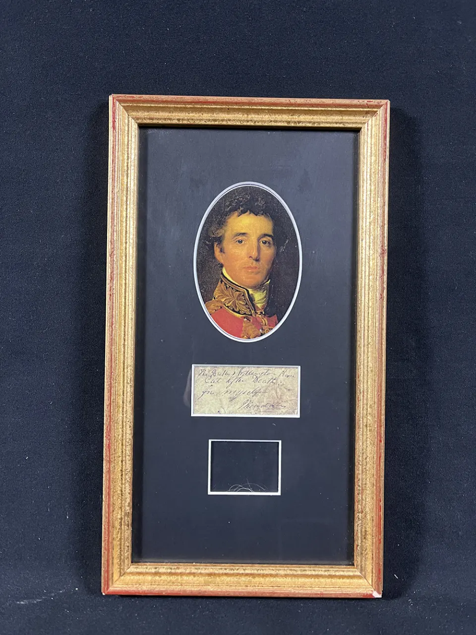 Duke of Wellington Hair Strand