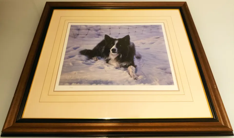 Renowned Steven Townsend signed Mac the collie limited edition print.