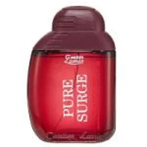 Pure Surge (Mens 100ml EDT)