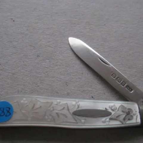 Victorian Mother of Pearl Hafted Silver Bladed Folding Fruit Knife