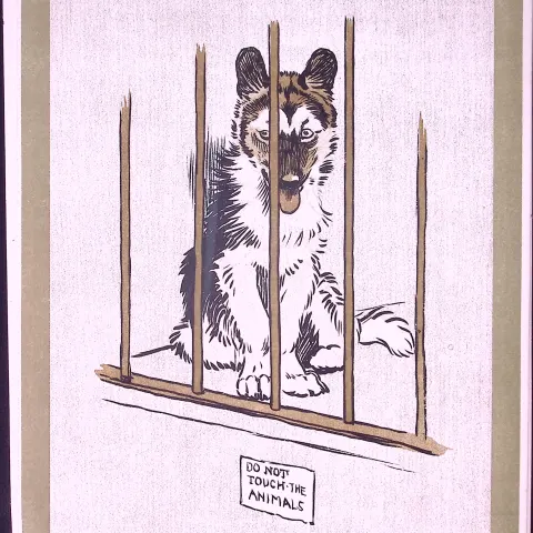 Cecil Aldin Antique Zoo Babies Scarce Illustration “Esquimaux Puppy”-19