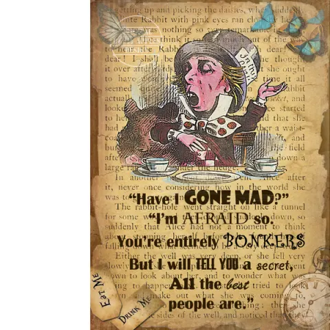 Alice In Wonderland The Mad Hatter Im Bonkers Designed Quote Large Metal Wall Art