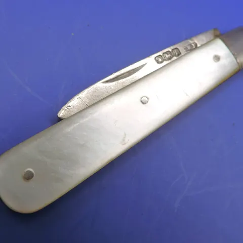 George V Silver and Mother of Pearl Fruit Knife 1928