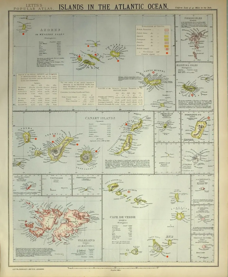 Atlantic Ocean Falklands Canaries Cape Verde Letts 1883 Antique Map.