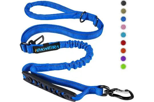 10 x Bungee Dog Leash/Buckle