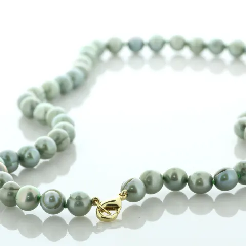 18 Inch Freshwater Cultured 7.0 - 7.5mm Pearl Necklace With Gold Plated Clasp