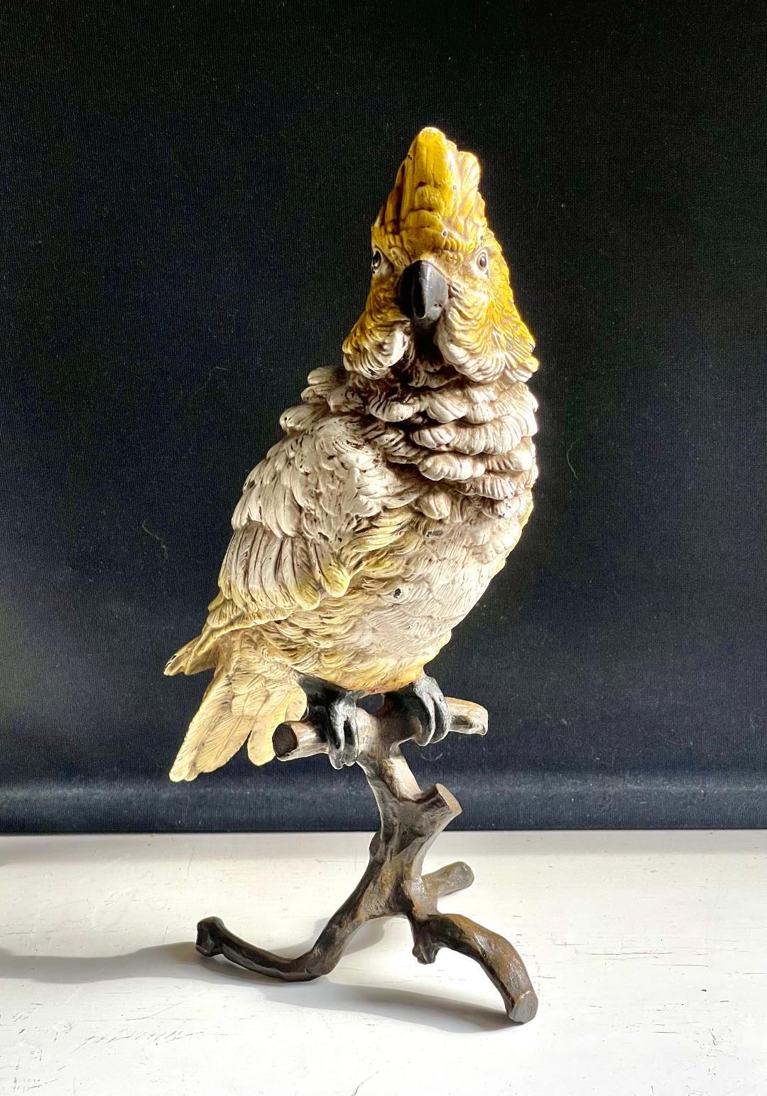 Cold Painted Bronze Bergman Fogure of a Cockatoo