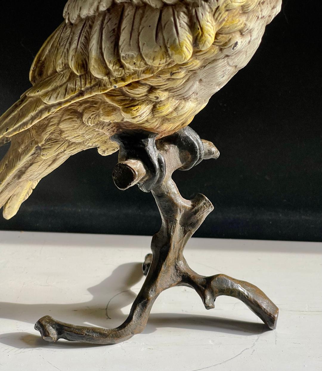 Cold Painted Bronze Bergman Fogure of a Cockatoo