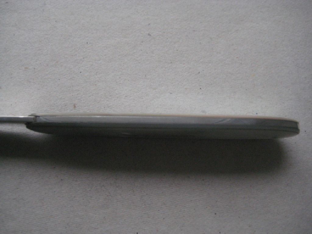 Rare Victorian Cased Silver Bladed Folding Fruit Knife