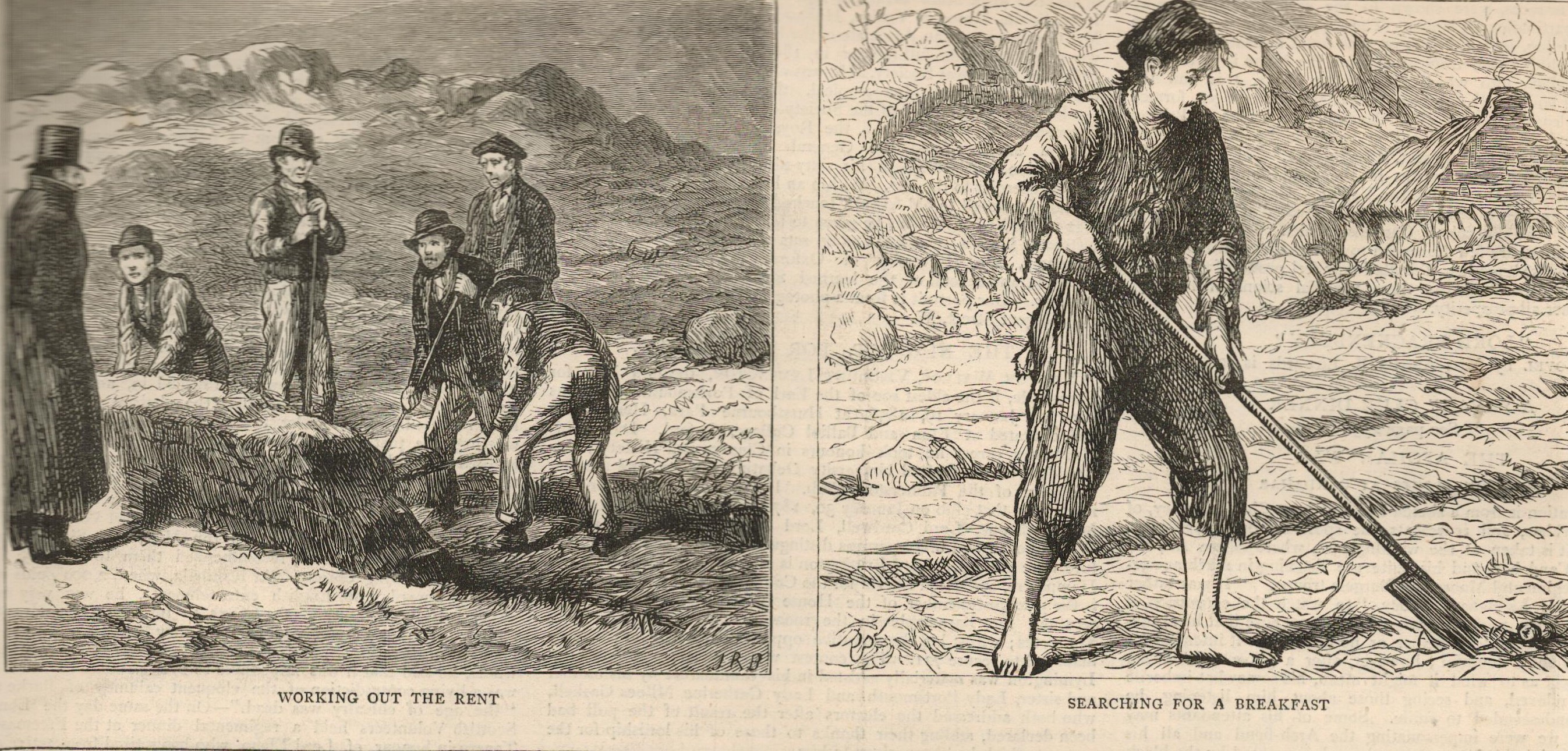 1880 Famine And Distress In The West Of Ireland Original NewspaperOriginal Antique Complete 1880