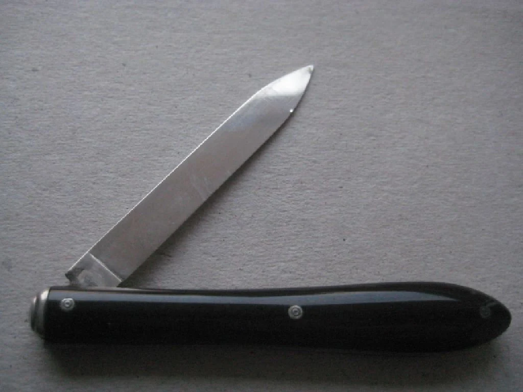 Rare French Silver Bladed Folding Fruit Knife